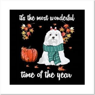 Maltese Dog Autumn Fall Most Wonderful Time Maple Gift Posters and Art